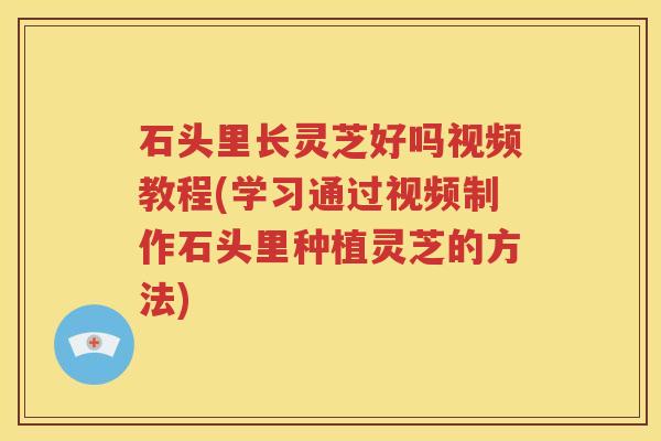 石头里长灵芝好吗视频教程(学习通过视频制作石头里种植灵芝的方法)