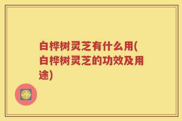 白桦树灵芝有什么用(白桦树灵芝的功效及用途)
