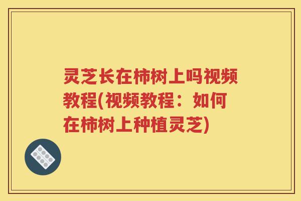 灵芝长在柿树上吗视频教程(视频教程：如何在柿树上种植灵芝)
