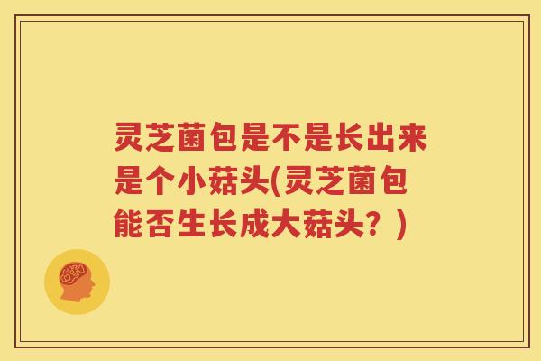 灵芝菌包是不是长出来是个小菇头(灵芝菌包能否生长成大菇头？)