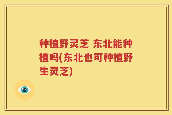 种植野灵芝 东北能种植吗(东北也可种植野生灵芝)