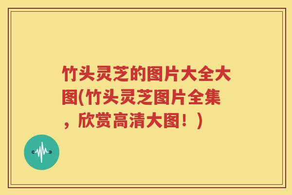 竹头灵芝的图片大全大图(竹头灵芝图片全集，欣赏高清大图！)