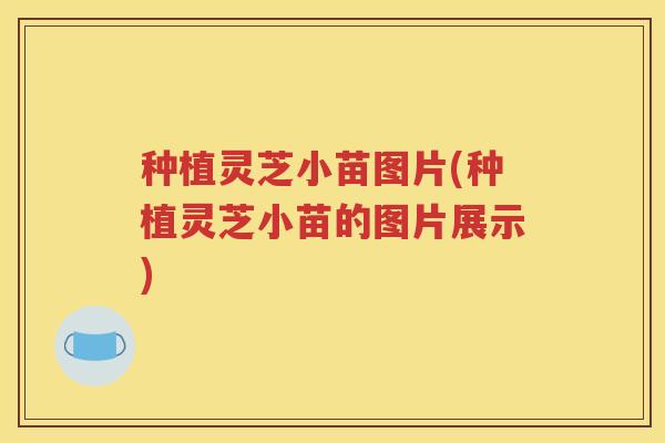 种植灵芝小苗图片(种植灵芝小苗的图片展示)