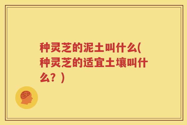 种灵芝的泥土叫什么(种灵芝的适宜土壤叫什么？)