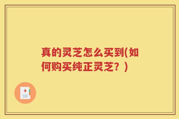 真的灵芝怎么买到(如何购买纯正灵芝？)