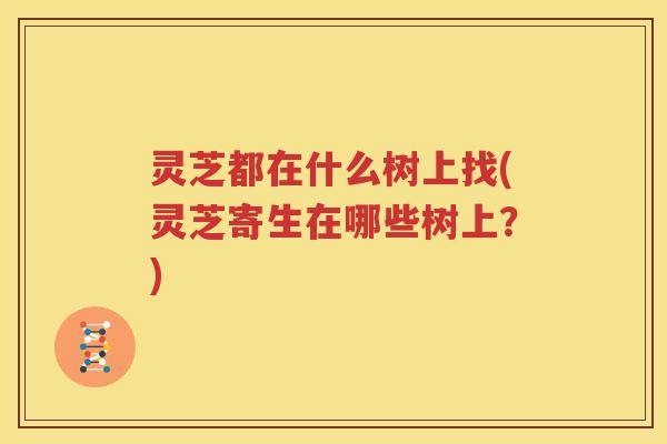 灵芝都在什么树上找(灵芝寄生在哪些树上？)