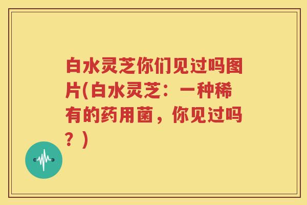 白水灵芝你们见过吗图片(白水灵芝：一种稀有的药用菌，你见过吗？)