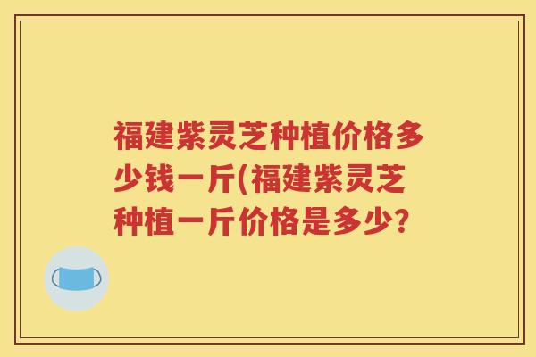 福建紫灵芝种植价格多少钱一斤(福建紫灵芝种植一斤价格是多少？