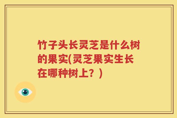 竹子头长灵芝是什么树的果实(灵芝果实生长在哪种树上？)