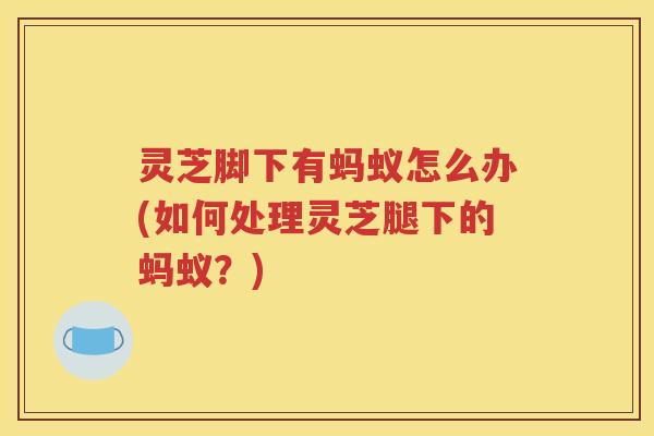 灵芝脚下有蚂蚁怎么办(如何处理灵芝腿下的蚂蚁？)