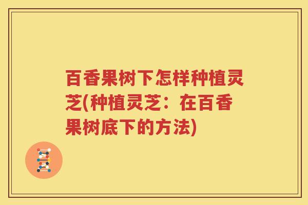 百香果树下怎样种植灵芝(种植灵芝：在百香果树底下的方法)