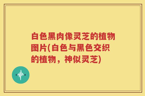 白色黑肉像灵芝的植物图片(白色与黑色交织的植物，神似灵芝)