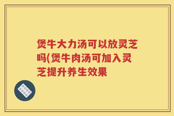 煲牛大力汤可以放灵芝吗(煲牛肉汤可加入灵芝提升养生效果