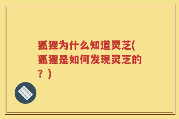 狐狸为什么知道灵芝(狐狸是如何发现灵芝的？)