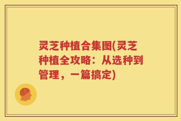 灵芝种植合集图(灵芝种植全攻略：从选种到管理，一篇搞定)