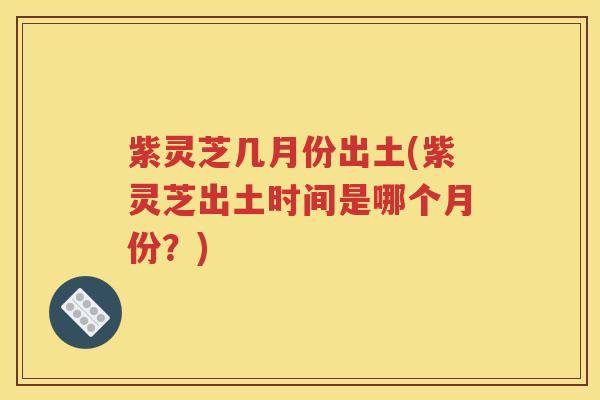紫灵芝几月份出土(紫灵芝出土时间是哪个月份？)