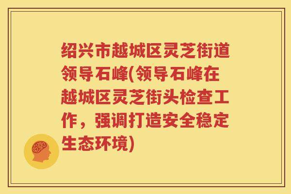 绍兴市越城区灵芝街道领导石峰(领导石峰在越城区灵芝街头检查工作，强调打造安全稳定生态环境)