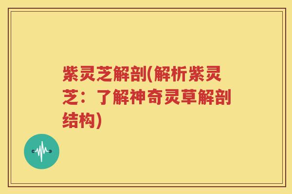 紫灵芝解剖(解析紫灵芝：了解神奇灵草解剖结构)