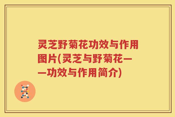 灵芝野菊花功效与作用图片(灵芝与野菊花——功效与作用简介)
