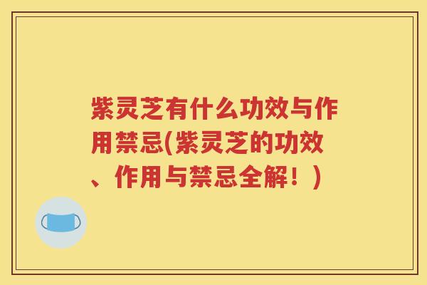 紫灵芝有什么功效与作用禁忌(紫灵芝的功效、作用与禁忌全解！)