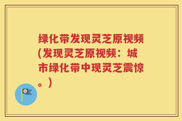 绿化带发现灵芝原视频(发现灵芝原视频：城市绿化带中现灵芝震惊。)