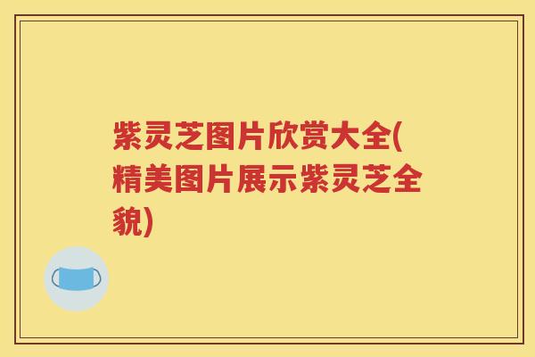 紫灵芝图片欣赏大全(精美图片展示紫灵芝全貌)