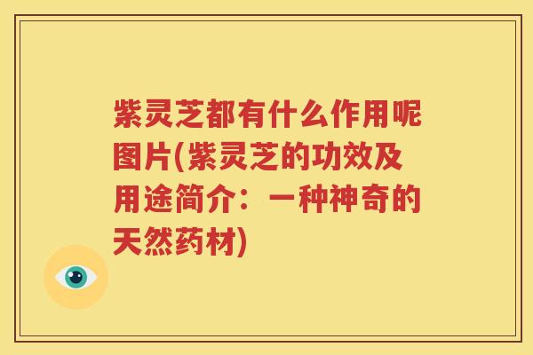 紫灵芝都有什么作用呢图片(紫灵芝的功效及用途简介：一种神奇的天然药材)