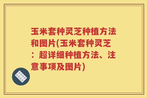 玉米套种灵芝种植方法和图片(玉米套种灵芝：超详细种植方法、注意事项及图片)