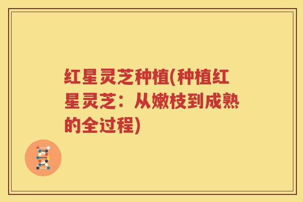 红星灵芝种植(种植红星灵芝：从嫩枝到成熟的全过程)