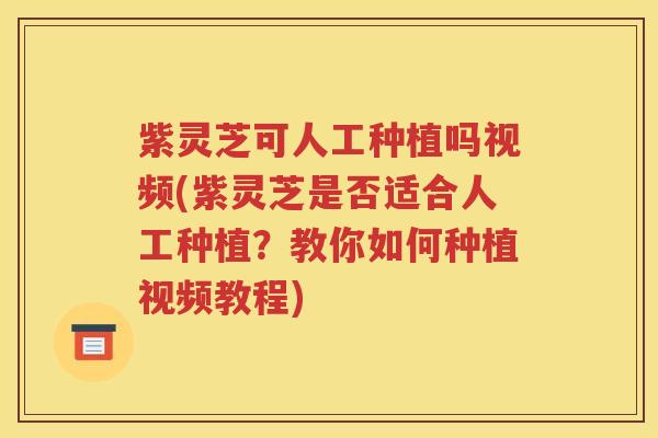 紫灵芝可人工种植吗视频(紫灵芝是否适合人工种植？教你如何种植视频教程)