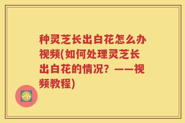种灵芝长出白花怎么办视频(如何处理灵芝长出白花的情况？——视频教程)