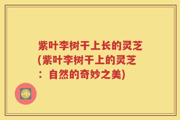 紫叶李树干上长的灵芝(紫叶李树干上的灵芝：自然的奇妙之美)