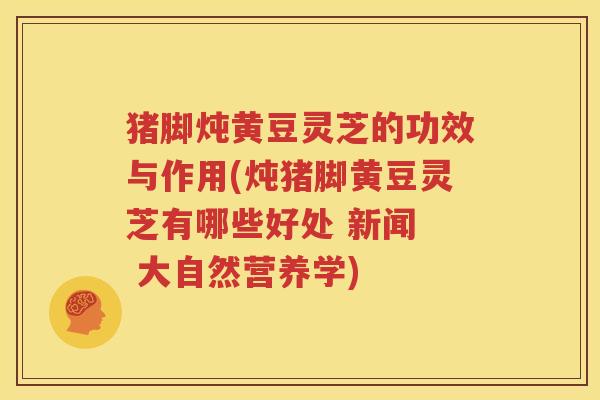 猪脚炖黄豆灵芝的功效与作用(炖猪脚黄豆灵芝有哪些好处 新闻  大自然营养学)