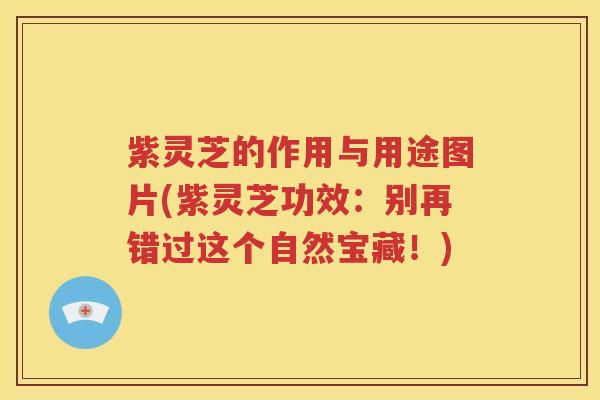 紫灵芝的作用与用途图片(紫灵芝功效：别再错过这个自然宝藏！)