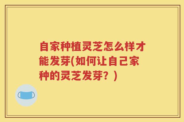 自家种植灵芝怎么样才能发芽(如何让自己家种的灵芝发芽？)