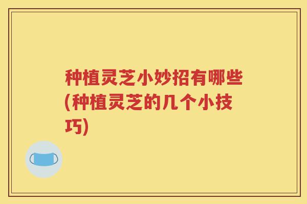 种植灵芝小妙招有哪些(种植灵芝的几个小技巧)