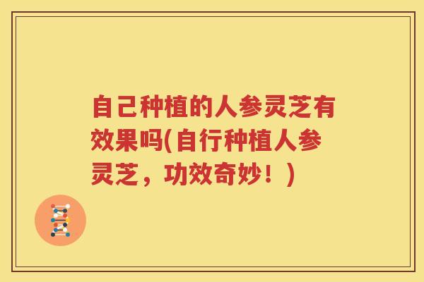 自己种植的人参灵芝有效果吗(自行种植人参灵芝，功效奇妙！)