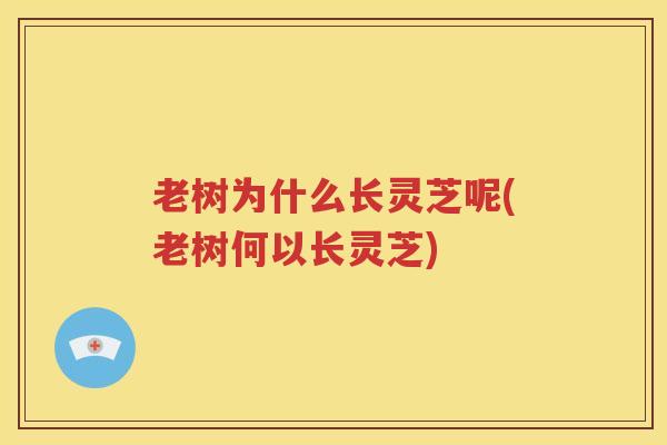 老树为什么长灵芝呢(老树何以长灵芝)