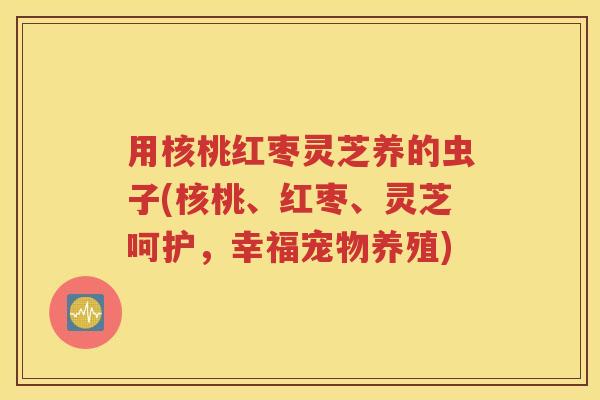 用核桃红枣灵芝养的虫子(核桃、红枣、灵芝呵护，幸福宠物养殖)
