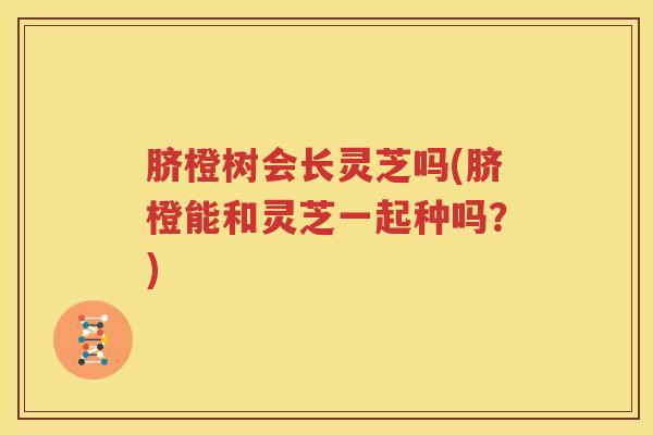 脐橙树会长灵芝吗(脐橙能和灵芝一起种吗？)