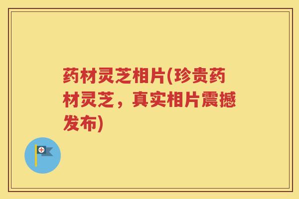 药材灵芝相片(珍贵药材灵芝，真实相片震撼发布)