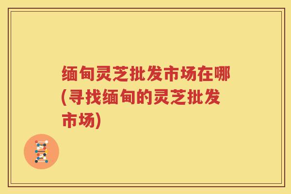 缅甸灵芝批发市场在哪(寻找缅甸的灵芝批发市场)