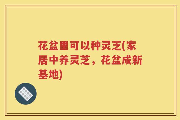 花盆里可以种灵芝(家居中养灵芝，花盆成新基地)