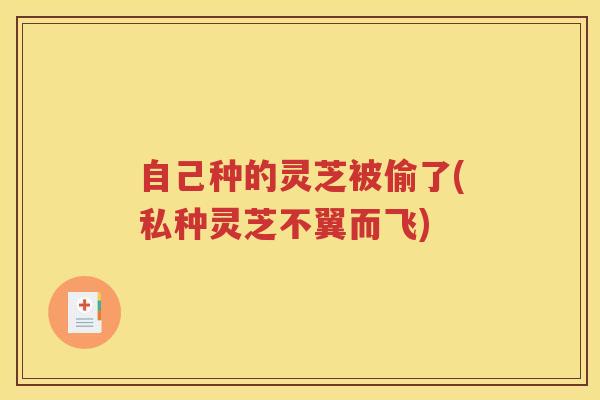 自己种的灵芝被偷了(私种灵芝不翼而飞)