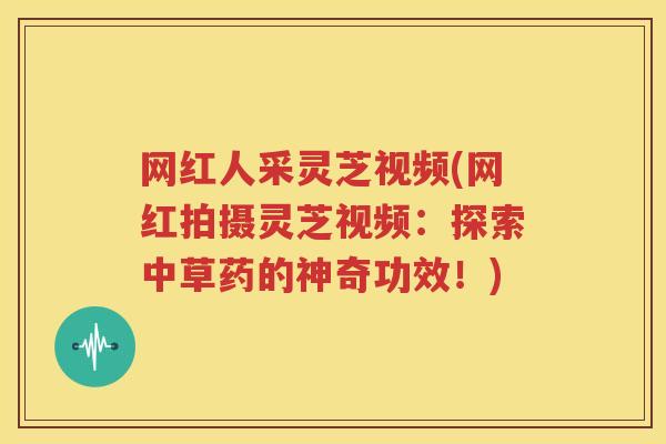 网红人采灵芝视频(网红拍摄灵芝视频：探索中草药的神奇功效！)