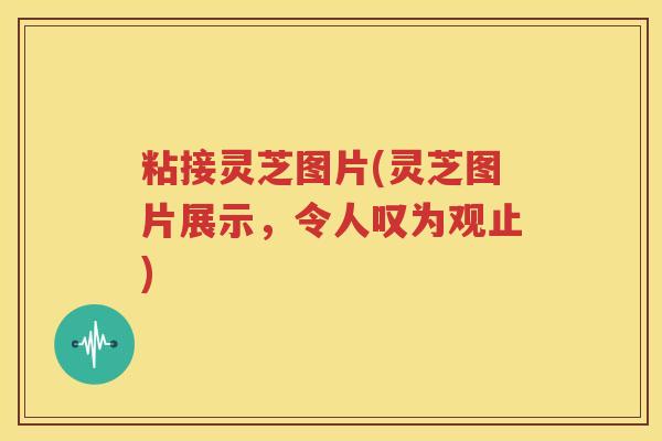 粘接灵芝图片(灵芝图片展示，令人叹为观止)
