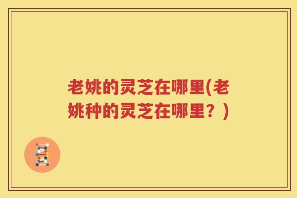 老姚的灵芝在哪里(老姚种的灵芝在哪里？)