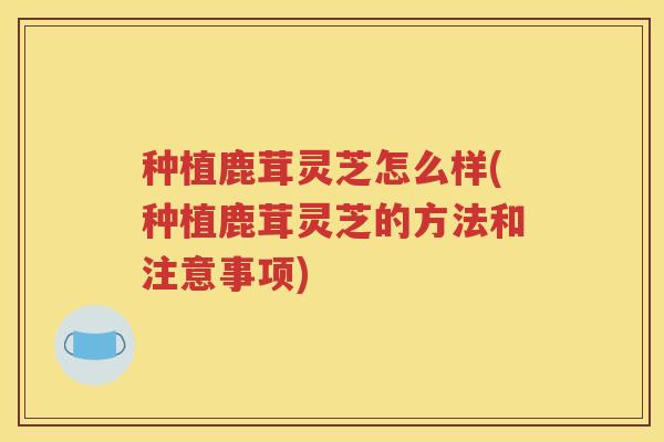 种植鹿茸灵芝怎么样(种植鹿茸灵芝的方法和注意事项)