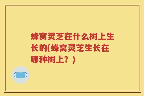 蜂窝灵芝在什么树上生长的(蜂窝灵芝生长在哪种树上？)
