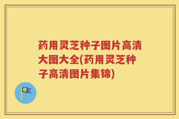 药用灵芝种子图片高清大图大全(药用灵芝种子高清图片集锦)